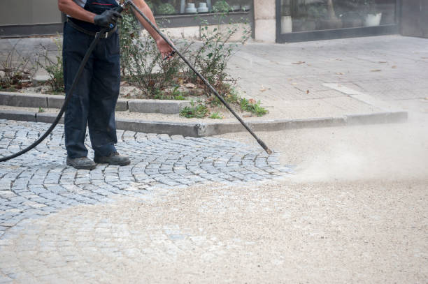 Best Gutter Cleaning  in Elmendorf, TX