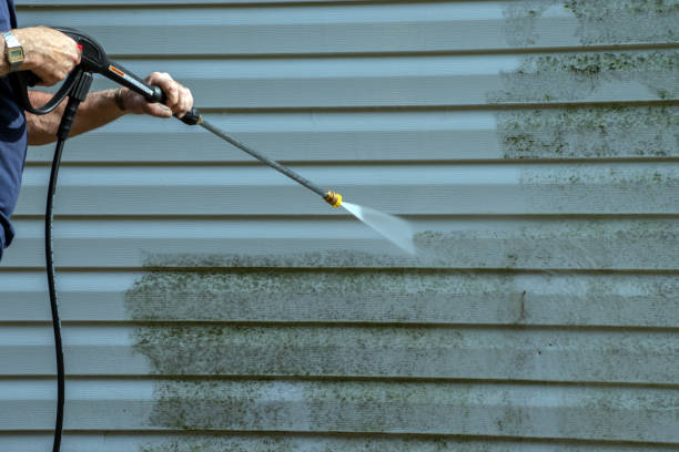 Best Solar Panel Cleaning  in Elmendorf, TX